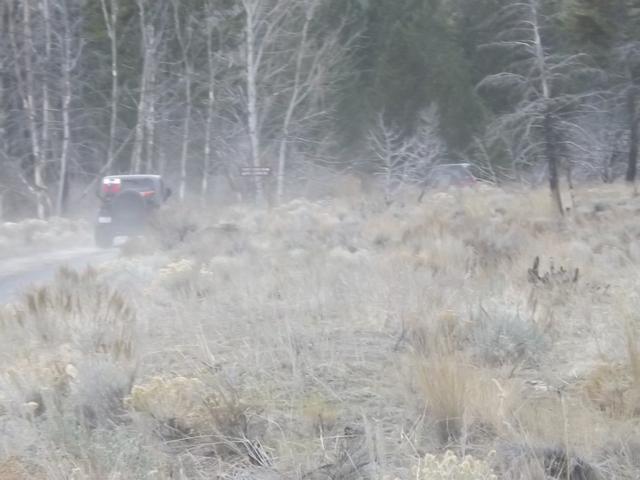 DSCF5222.JPG