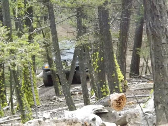 DSCF5228.JPG