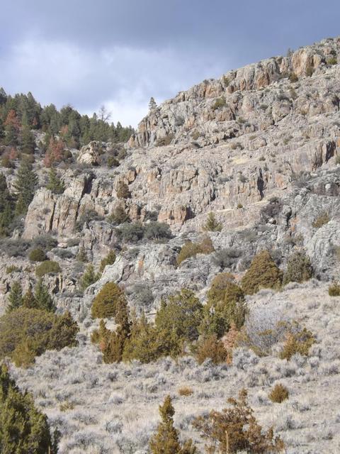 DSCF5307.JPG