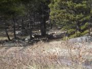 DSCF5366.JPG
