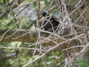 DSCF5373.JPG