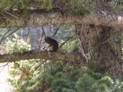 DSCF5375.JPG