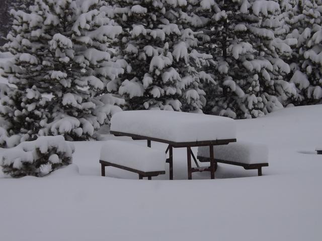DSCF5574.JPG