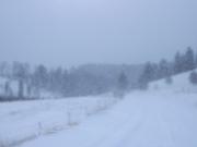 DSCF5593.JPG