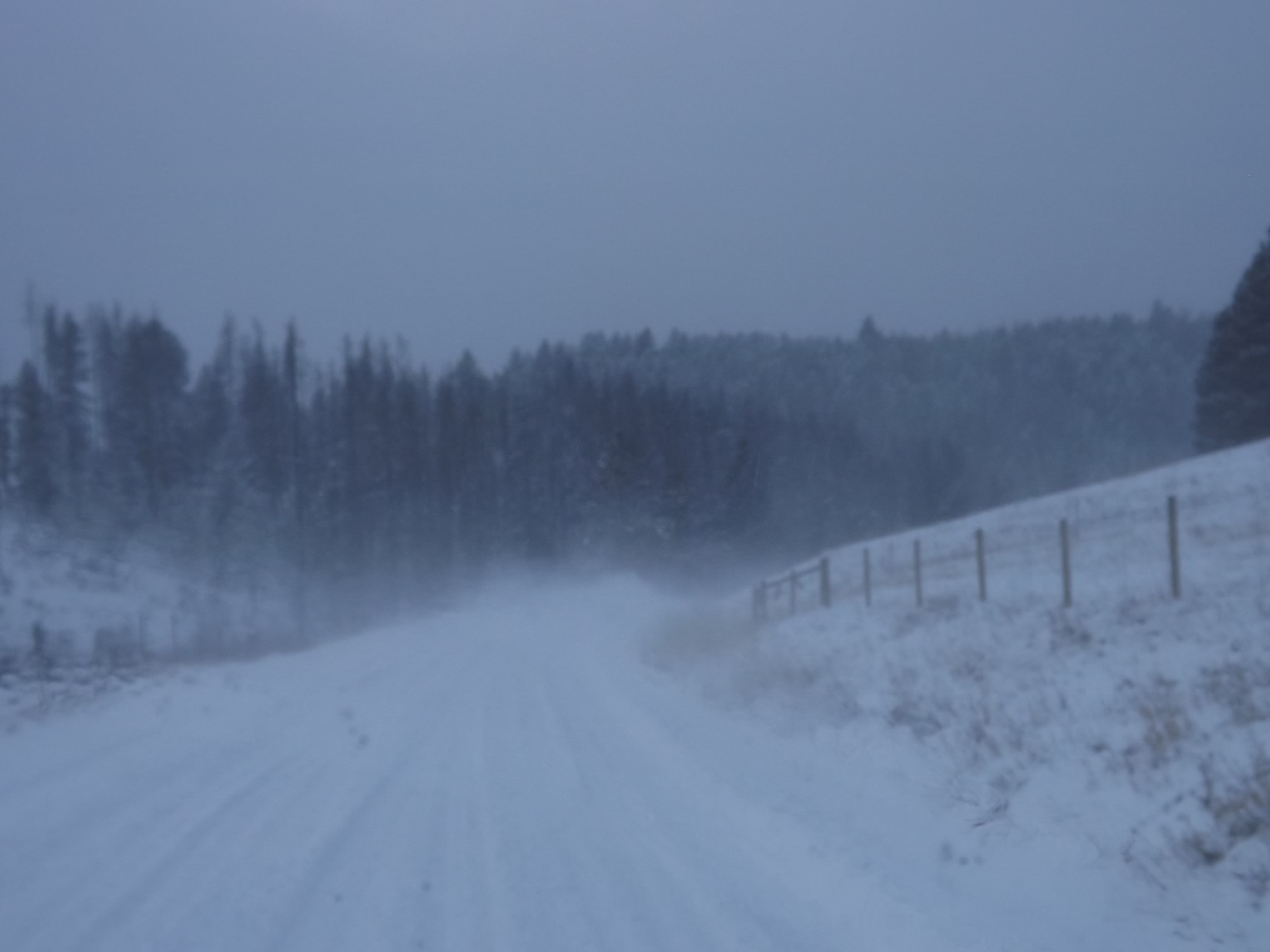 DSCF5594.JPG