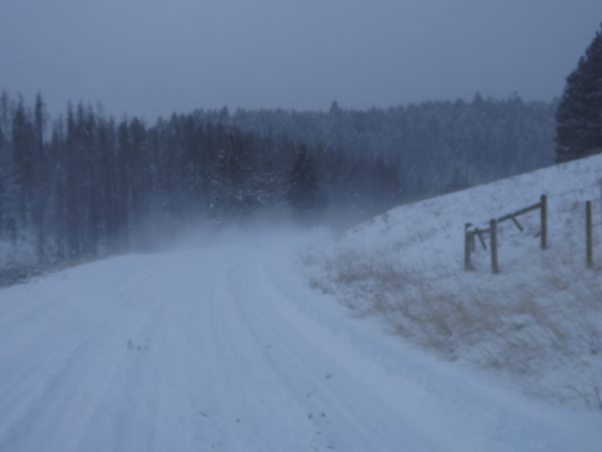 DSCF5595.JPG