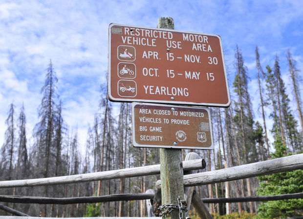 542333efbb73c.preview-699