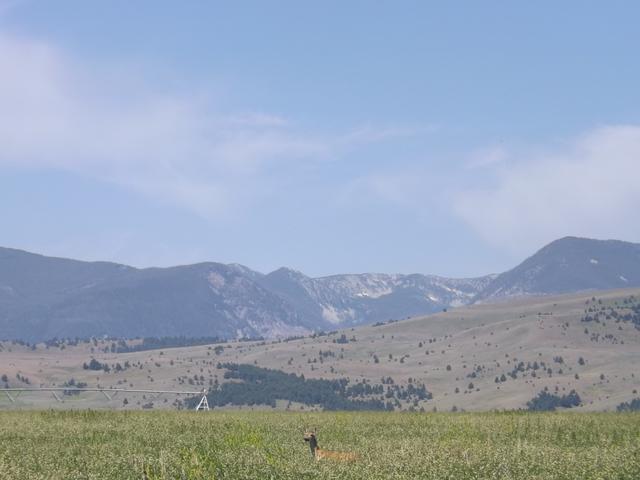 DSCF9172.JPG