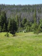DSCF9180.JPG