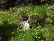 DSCF9189.JPG