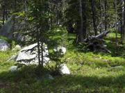 DSCF9266.JPG