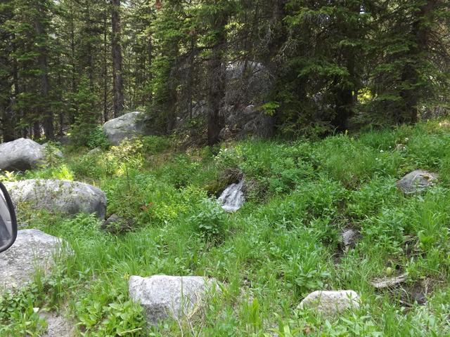 DSCF9273.JPG