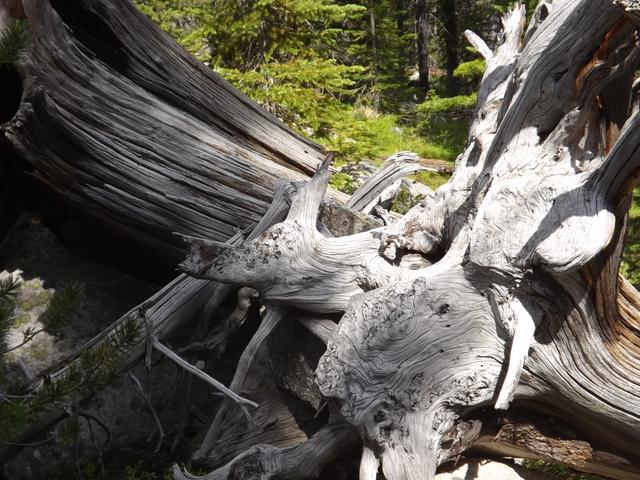 DSCF9275.JPG