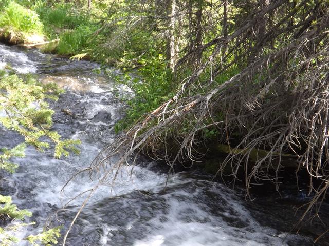 DSCF9282.JPG