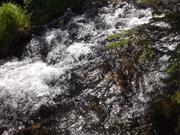 DSCF9287.JPG
