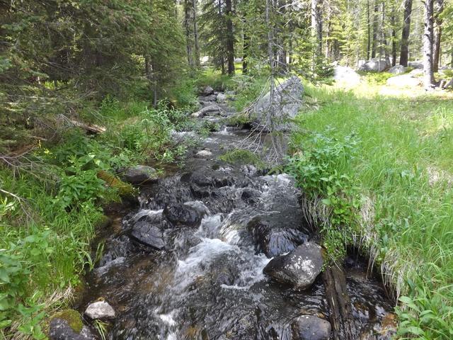 DSCF9288.JPG