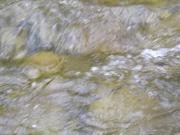 DSCF9300.JPG