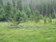 DSCF9308.JPG