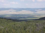 DSCF9311.JPG