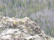 DSCF9125.JPG