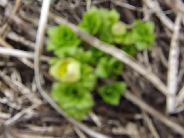 DSCF9128.JPG
