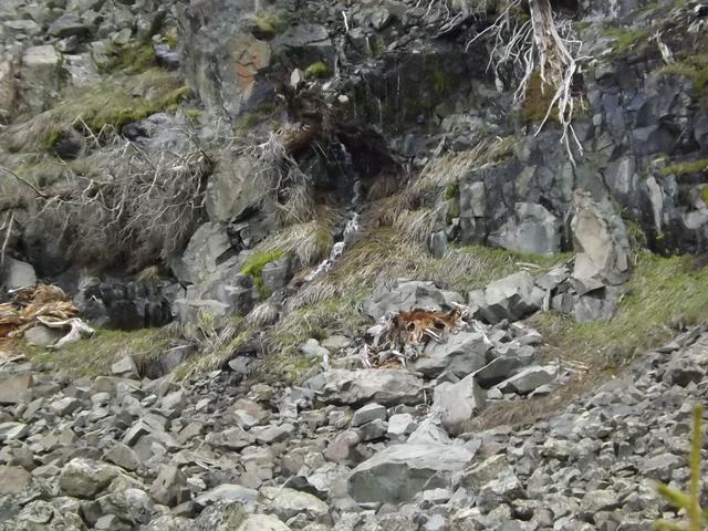DSCF9130.JPG