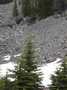 DSCF9131.JPG