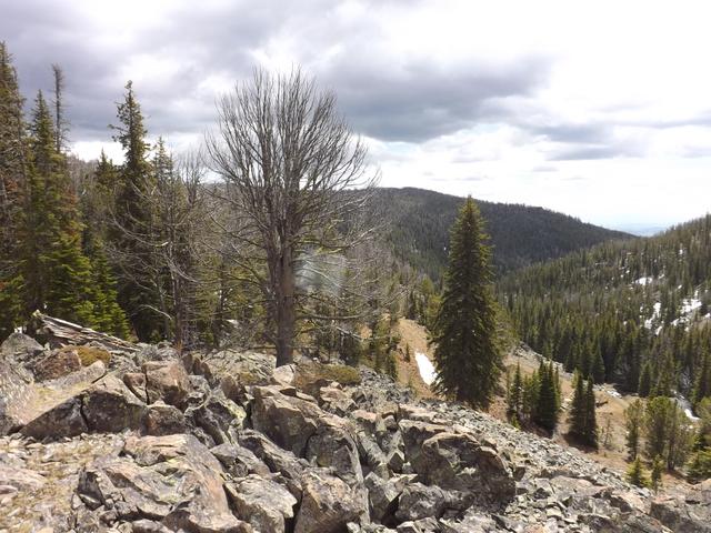 DSCF9140.JPG