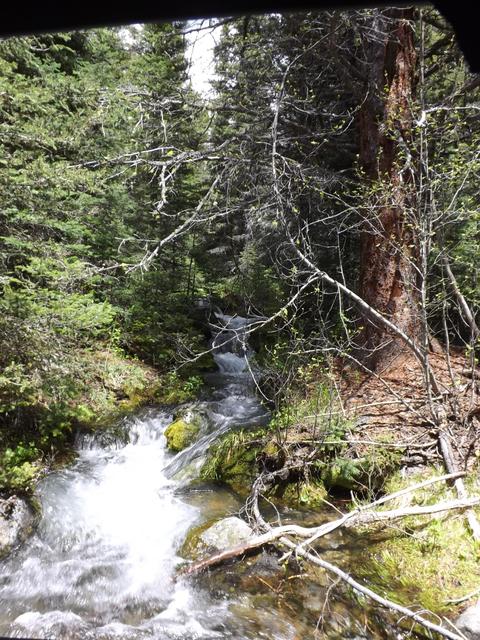 DSCF9147.JPG