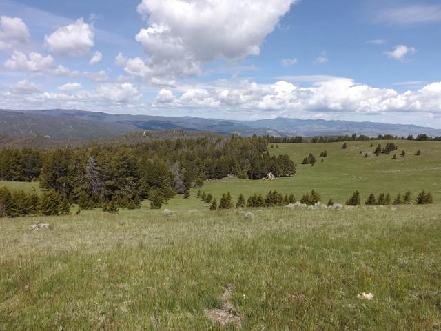 DSCF9077.JPG