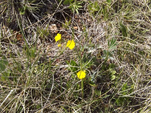 DSCF9084.JPG