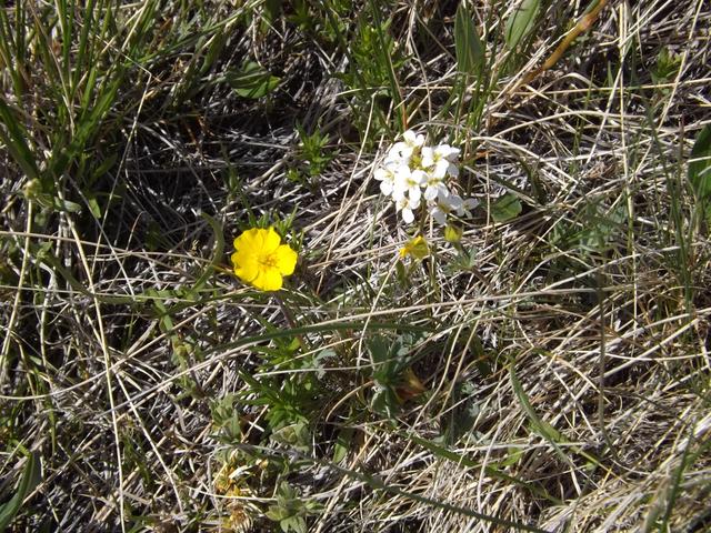DSCF9085.JPG