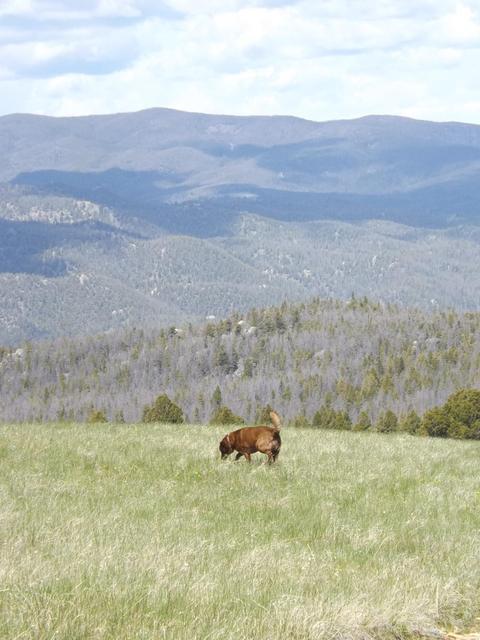 DSCF9095.JPG