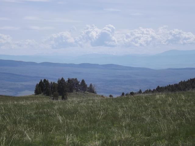 DSCF9098.JPG