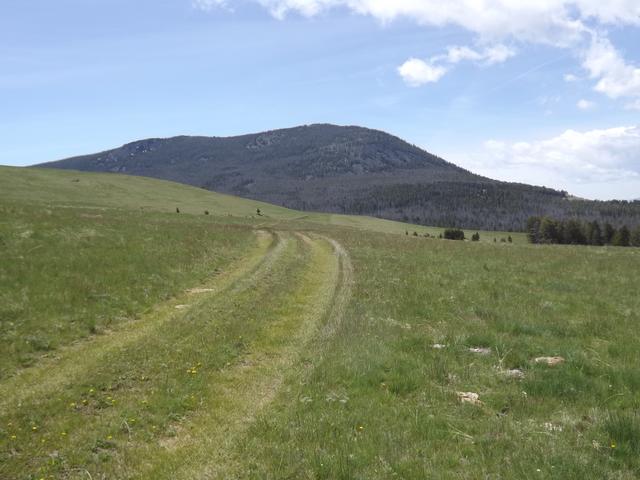 DSCF9102.JPG