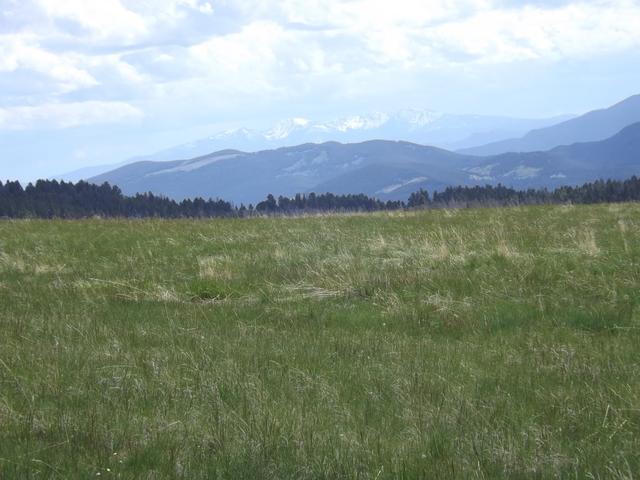 DSCF9118.JPG