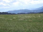 DSCF9118.JPG