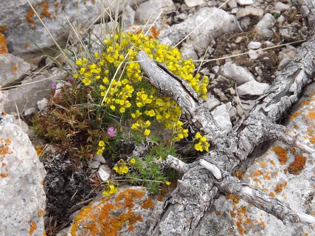 DSCF9064.JPG