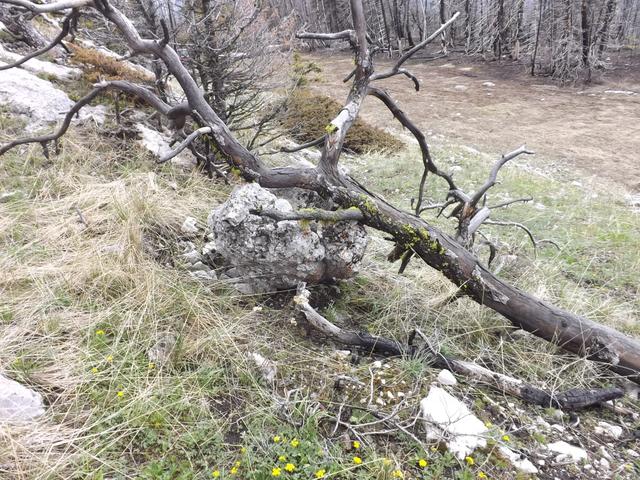DSCF9069.JPG