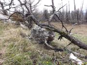 DSCF9070.JPG