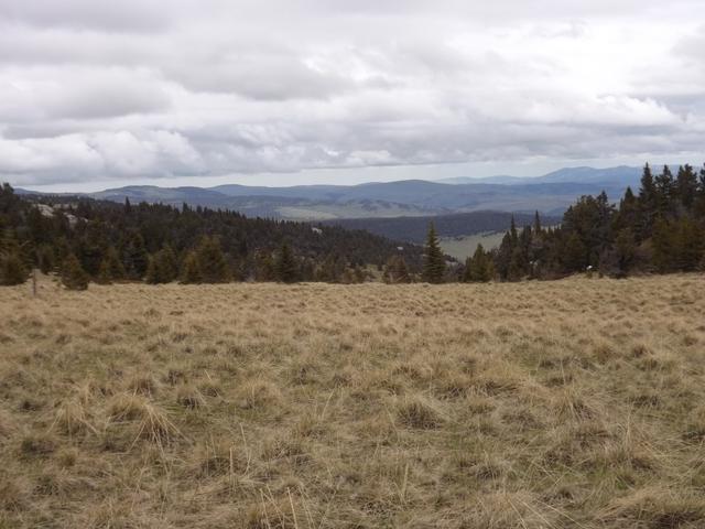 DSCF9071.JPG