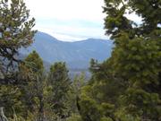DSCF9073.JPG