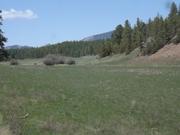 DSCF8893.JPG