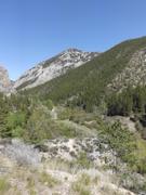 DSCF8906.JPG