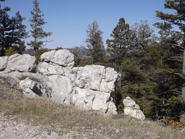 DSCF8924.JPG