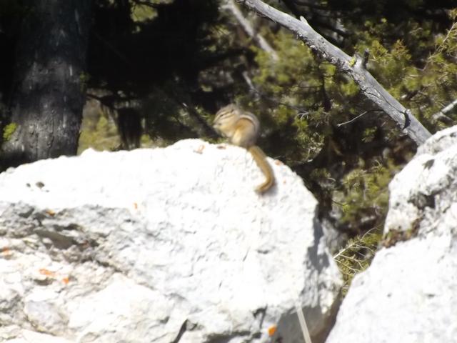 DSCF8926.JPG