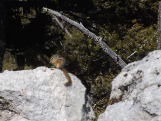 DSCF8927.JPG