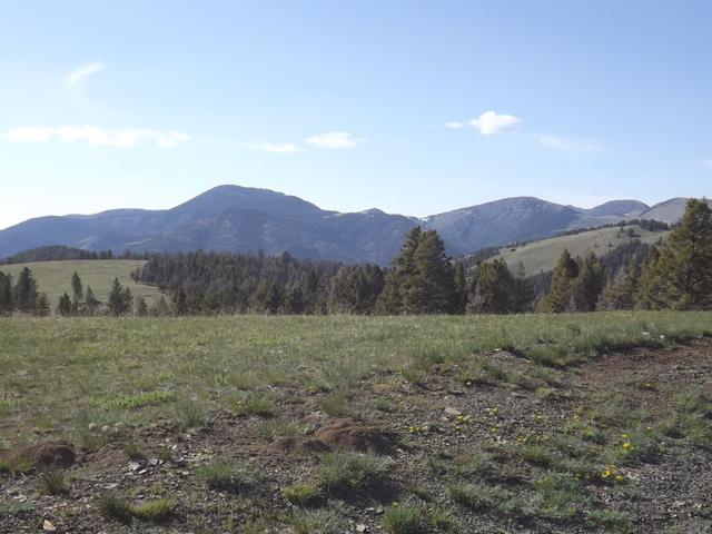 DSCF8932.JPG