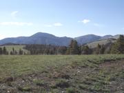 DSCF8932.JPG