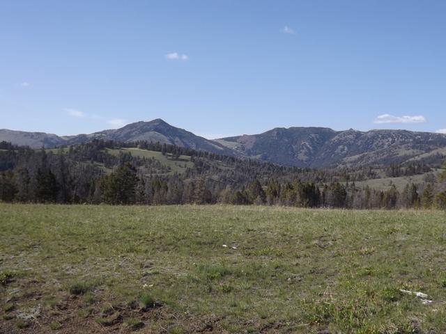 DSCF8934.JPG